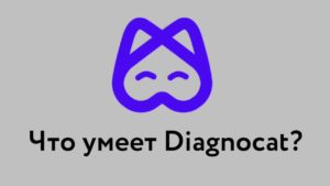 Что умеет Diagnocat?